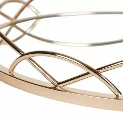 Dorma Champagne Decorative Tray -VibeAura Shop 1000167640 alt03