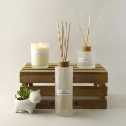 Dunelm Natural Mint Soy Wax Blend Candle And Diffuser Set 9 Dunelm Natural Mint Soy Wax Blend Candle And Diffuser Set -VibeAura Shop 1000183223 alt01