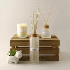 Dunelm Natural Chamomile Soy Wax Blend Candle Diffuser Set 5 Dunelm Natural Chamomile Soy Wax Blend Candle Diffuser Set -VibeAura Shop 1000183225 alt01