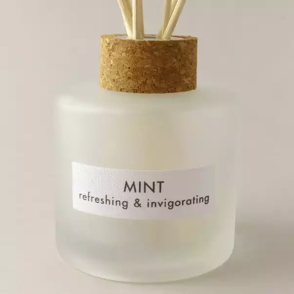 The Edited Life Wellness 200ml Oil Mint Reed Diffuser 2 The Edited Life Wellness 200ml Oil Mint Reed Diffuser - Image 2