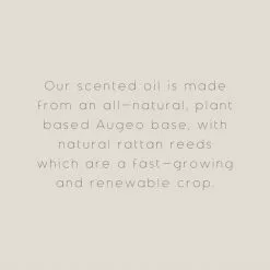 The Edited Life Wellness 200ml Oil Mint Reed Diffuser 5 The Edited Life Wellness 200ml Oil Mint Reed Diffuser -VibeAura Shop 1000183229 alt09