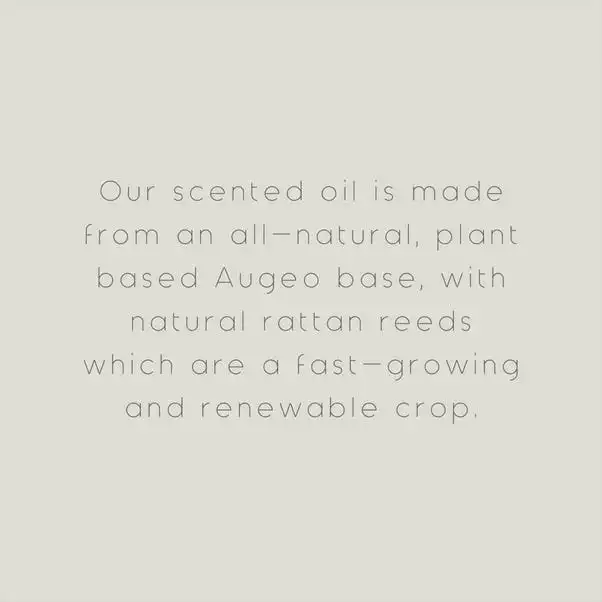 The Edited Life Wellness 200ml Oil Mint Reed Diffuser 3 The Edited Life Wellness 200ml Oil Mint Reed Diffuser - Image 3