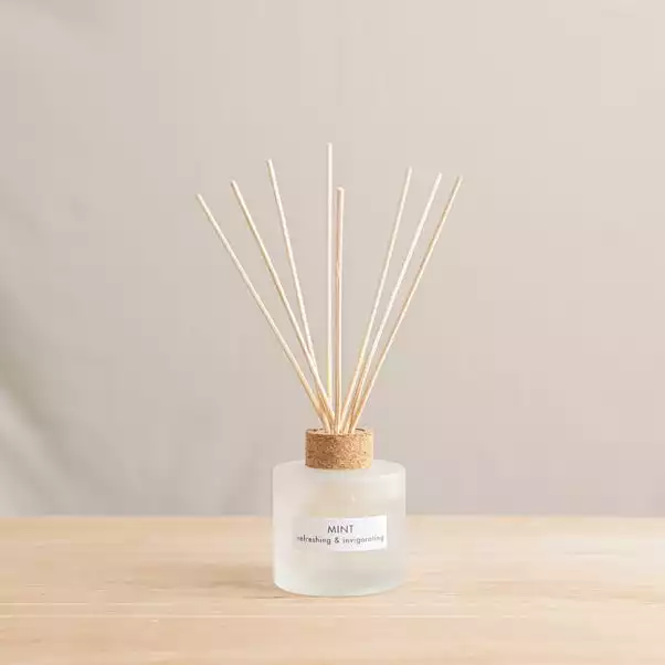 The Edited Life Wellness 200ml Oil Mint Reed Diffuser 1 The Edited Life Wellness 200ml Oil Mint Reed Diffuser