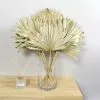 Dunelm Dried Gold Sun Spear Bundle