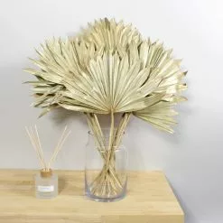 Dunelm Dried Gold Sun Spear Bundle