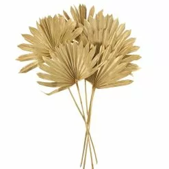 Dunelm Dried Gold Sun Spear Bundle 7 Dunelm Dried Gold Sun Spear Bundle -VibeAura Shop 30730255 alt02