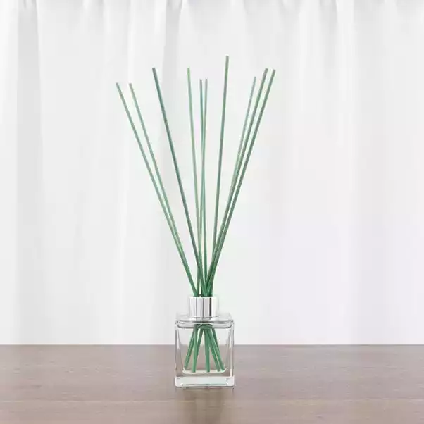 Dunelm Pack Of 10 Teal Fibre Reeds 2 Dunelm Pack Of 10 Teal Fibre Reeds - Image 2
