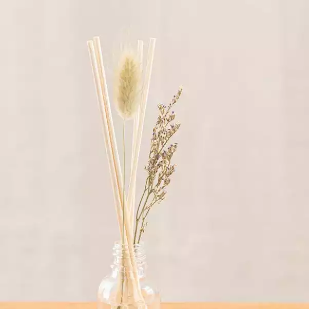 The Edited Life Wellness 30ml Oil Chamomile Reed Diffuser 2 The Edited Life Wellness 30ml Oil Chamomile Reed Diffuser - Image 2