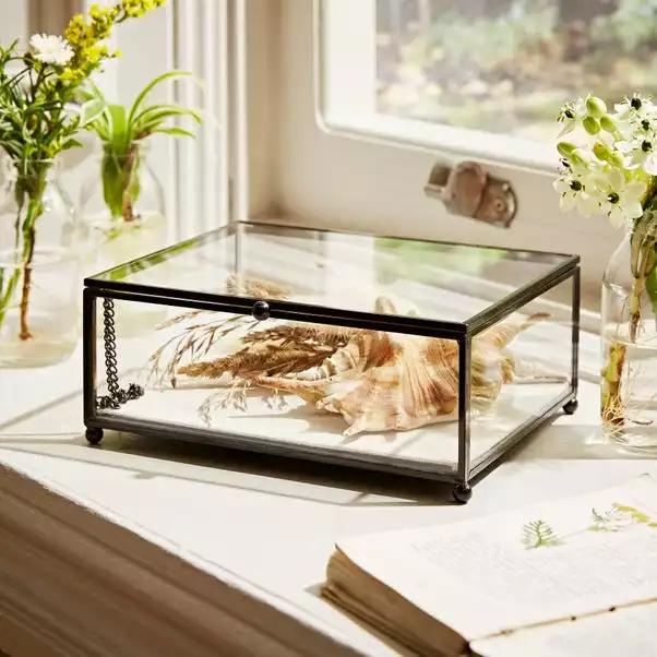 Natural History Museum Small Trinket Box 18cm 1 Natural History Museum Small Trinket Box 18cm