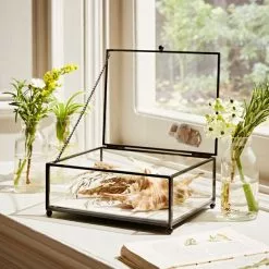 Natural History Museum Small Trinket Box 18cm 8 Natural History Museum Small Trinket Box 18cm -VibeAura Shop 30752231 alt02