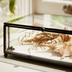 Natural History Museum Small Trinket Box 18cm 9 Natural History Museum Small Trinket Box 18cm -VibeAura Shop 30752231 alt03