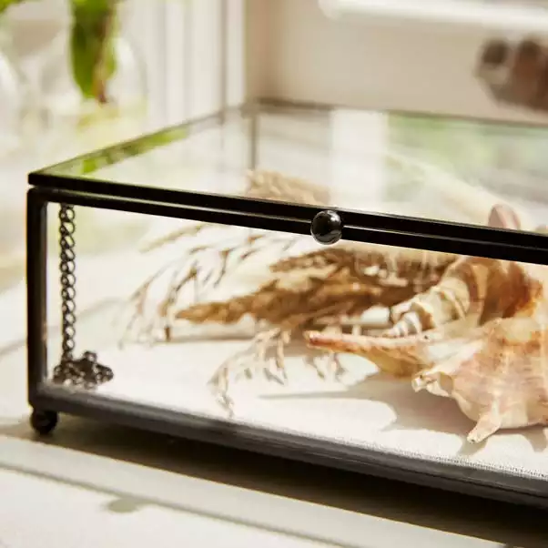 Natural History Museum Small Trinket Box 18cm 4 Natural History Museum Small Trinket Box 18cm - Image 4