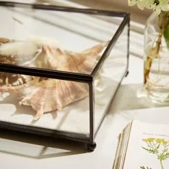 Natural History Museum Small Trinket Box 18cm 10 Natural History Museum Small Trinket Box 18cm -VibeAura Shop 30752231 alt04