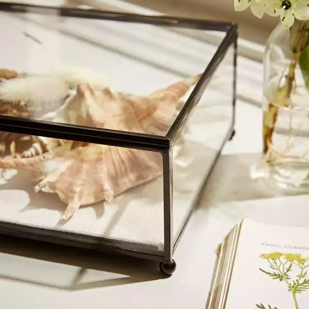 Natural History Museum Small Trinket Box 18cm 5 Natural History Museum Small Trinket Box 18cm - Image 5