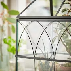 Natural History Museum Terrarium 37cm -VibeAura Shop 30752233 alt03