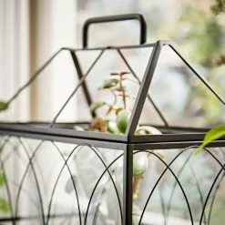 Natural History Museum Terrarium 37cm -VibeAura Shop 30752233 alt04