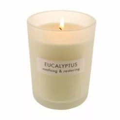 The Edited Life Wellness Soy Eucalyptus Candle 7 The Edited Life Wellness Soy Eucalyptus Candle -VibeAura Shop 30752264 alt03