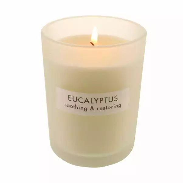 The Edited Life Wellness Soy Eucalyptus Candle 4 The Edited Life Wellness Soy Eucalyptus Candle - Image 4