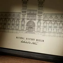 Natural History Museum Cathedral To Nature Framed Canvas -VibeAura Shop 30753729 alt03