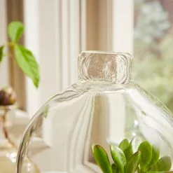 Natural History Museum Mango Wood Cloche -VibeAura Shop 30756334 alt02