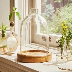 Natural History Museum Mango Wood Cloche -VibeAura Shop 30756334 alt04