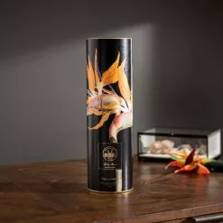 Natural History Museum Tropical Island Diffuser 200ml 9 Natural History Museum Tropical Island Diffuser 200ml -VibeAura Shop 30757057 alt03