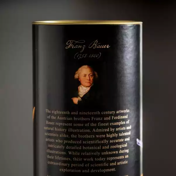 Natural History Museum Tropical Island Diffuser 200ml 5 Natural History Museum Tropical Island Diffuser 200ml - Image 5