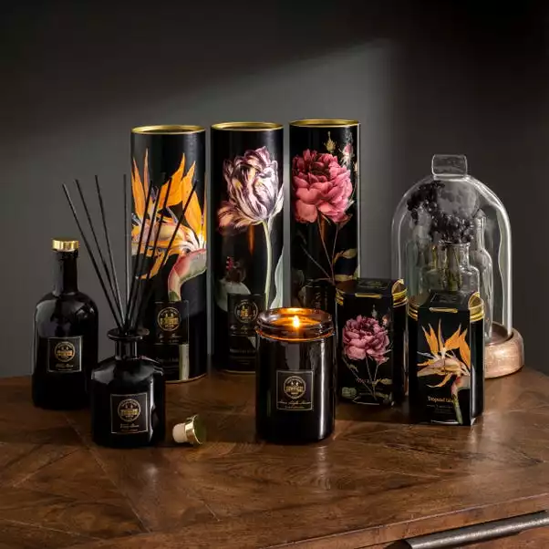 Natural History Museum Tropical Island Diffuser 200ml 6 Natural History Museum Tropical Island Diffuser 200ml - Image 6