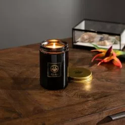 Natural History Museum Tropical Paradise Candle 410g -VibeAura Shop 30757063 alt02