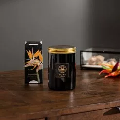 Natural History Museum Tropical Paradise Candle 410g -VibeAura Shop 30757063 alt03