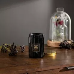 Natural History Museum Botanical Paradise Candle -VibeAura Shop 30757819 alt02