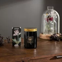 Natural History Museum Botanical Paradise Candle -VibeAura Shop 30757819 alt03