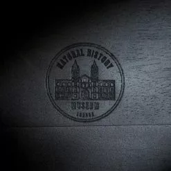 Dunelm Black Mango Wood Cloche -VibeAura Shop 30779657 alt05