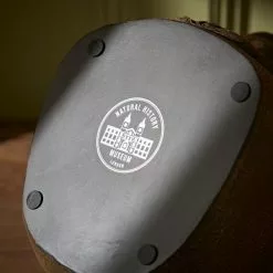 Natural History Museum Lion Glasses Holder -VibeAura Shop 30782232 alt05