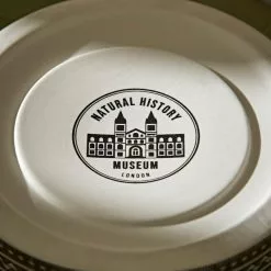 Natural History Museum Cathedral To Nature 33.5cm Lantern 9 Natural History Museum Cathedral To Nature 33.5cm Lantern -VibeAura Shop 30782301 alt04