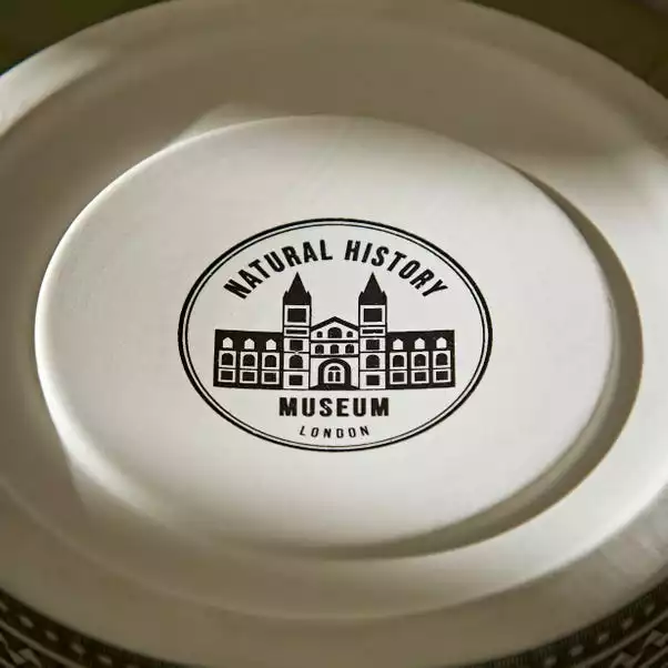 Natural History Museum Cathedral To Nature 33.5cm Lantern 5 Natural History Museum Cathedral To Nature 33.5cm Lantern - Image 5