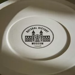 Natural History Museum Cathedral To Nature Large Lantern 9 Natural History Museum Cathedral To Nature Large Lantern -VibeAura Shop 30782302 alt04