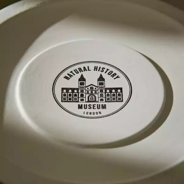 Natural History Museum Cathedral To Nature Large Lantern 5 Natural History Museum Cathedral To Nature Large Lantern - Image 5