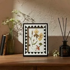 Natural History Museum Mosaic Inlay Photo Frame 7” X 5” (18cm X 13cm)