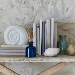 Natural History Museum Rock Pool Diffuser 200ml 11 Natural History Museum Rock Pool Diffuser 200ml -VibeAura Shop 30796646 alt07