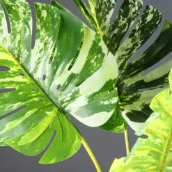 Real Touch Variegated Monstera 70cm -VibeAura Shop 30797230 alt02