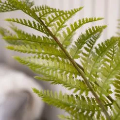 Oversized Fern 130cm -VibeAura Shop 30797240 alt01