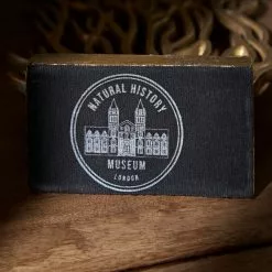 Dunelm Recycled Aluminium Flat Coral Reef Ornament -VibeAura Shop 30797978 alt03