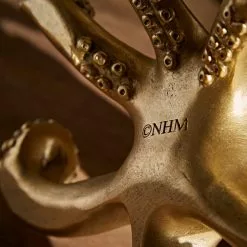 Natural History Museum Octopus Glasses Holder -VibeAura Shop 30800584 alt03