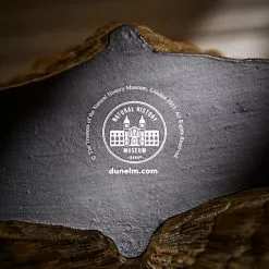 Natural History Museum Resin Shell Vase -VibeAura Shop 30800585 alt04