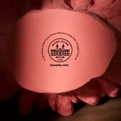 Natural History Museum Weighted Coral Reef Ornament -VibeAura Shop 30800589 alt03