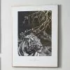 Pacific Lifestyle Mono Tiger Canvas Print
