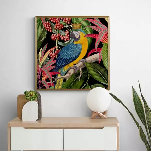 Dunelm Parrot King I Framed Print 1 Dunelm Parrot King I Framed Print