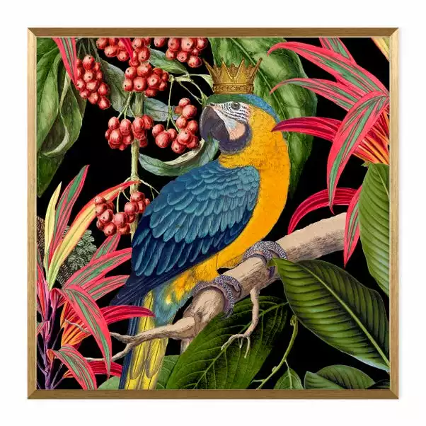 Dunelm Parrot King I Framed Print 2 Dunelm Parrot King I Framed Print - Image 2