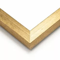 Dunelm Parrot King I Framed Print 5 Dunelm Parrot King I Framed Print -VibeAura Shop 30808371 alt02